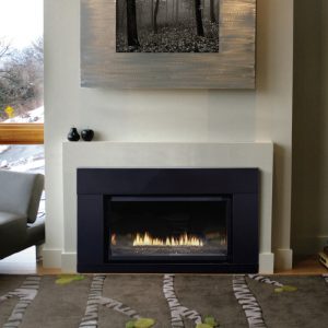 Loft Contemporary Direct-Vent Fireplace Inserts