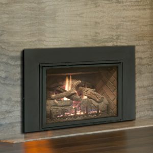 Electronic Pilot Direct Vent Insert