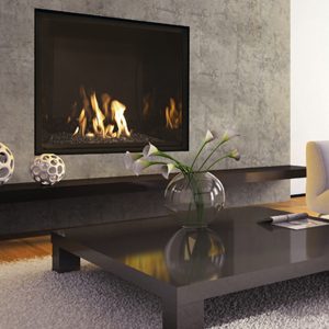 Mendota Fullview Fireplace